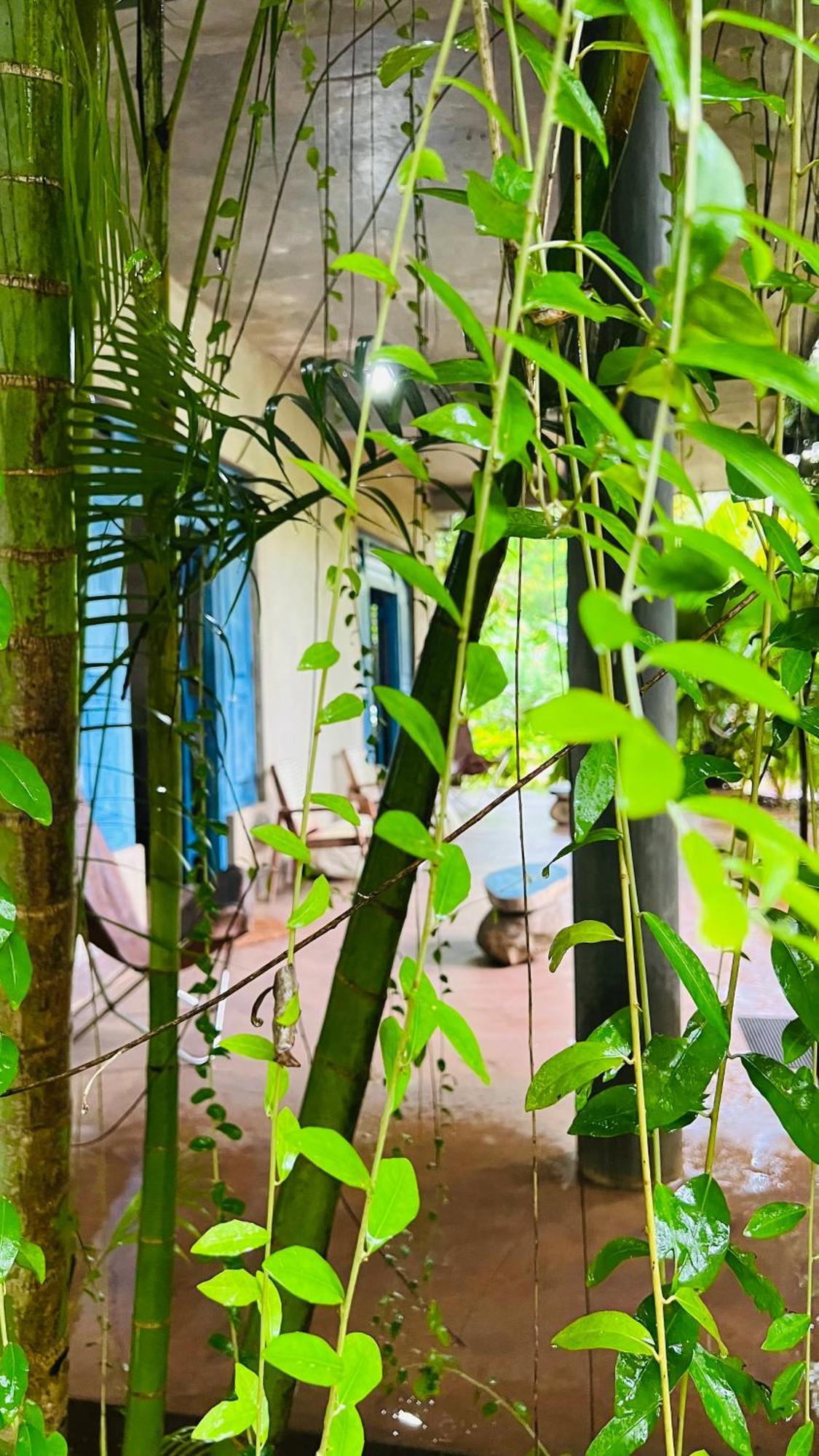 Kataragama Homestay Zewnętrze zdjęcie