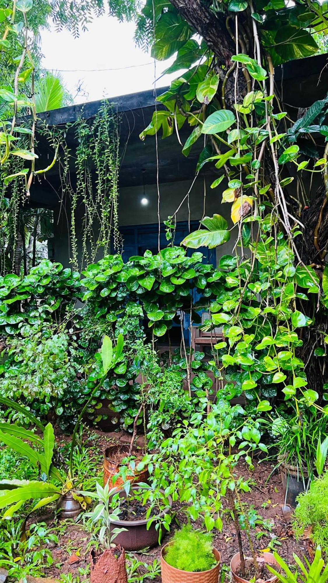 Kataragama Homestay Zewnętrze zdjęcie
