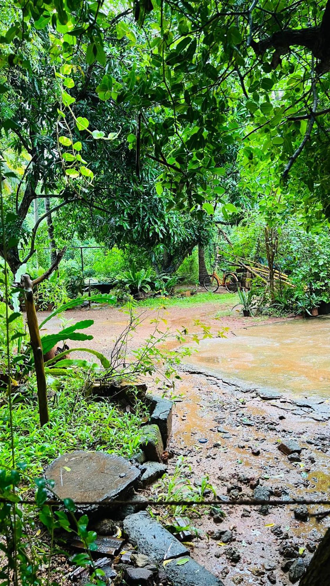 Kataragama Homestay Zewnętrze zdjęcie