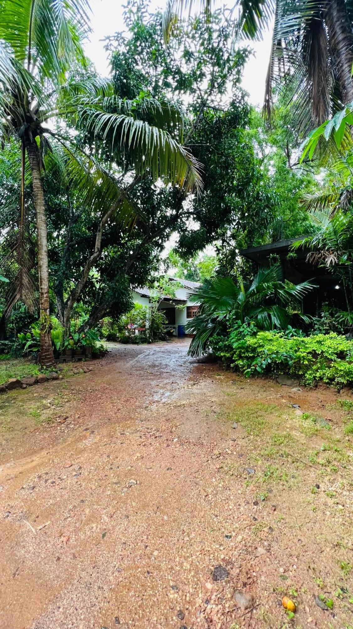 Kataragama Homestay Zewnętrze zdjęcie
