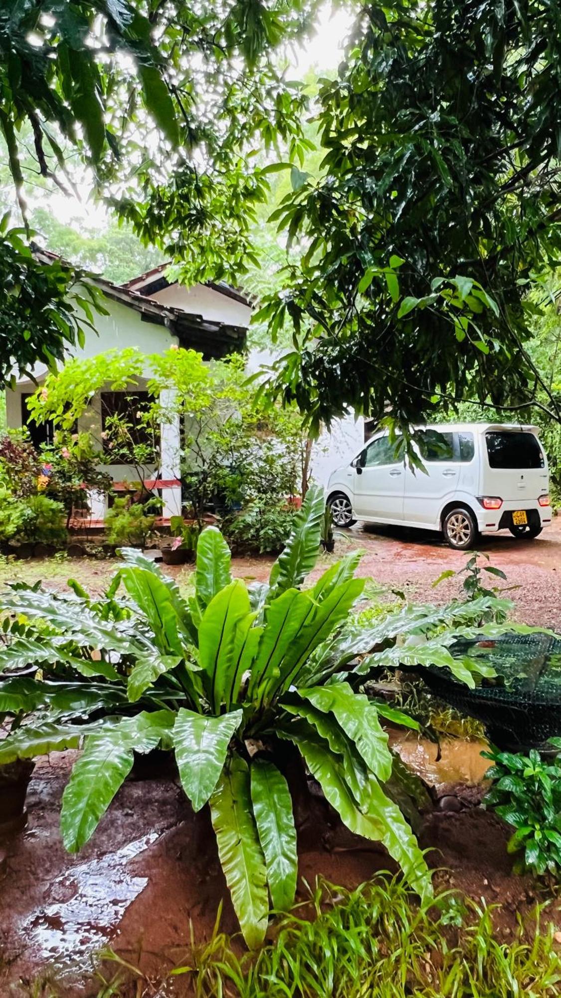 Kataragama Homestay Zewnętrze zdjęcie