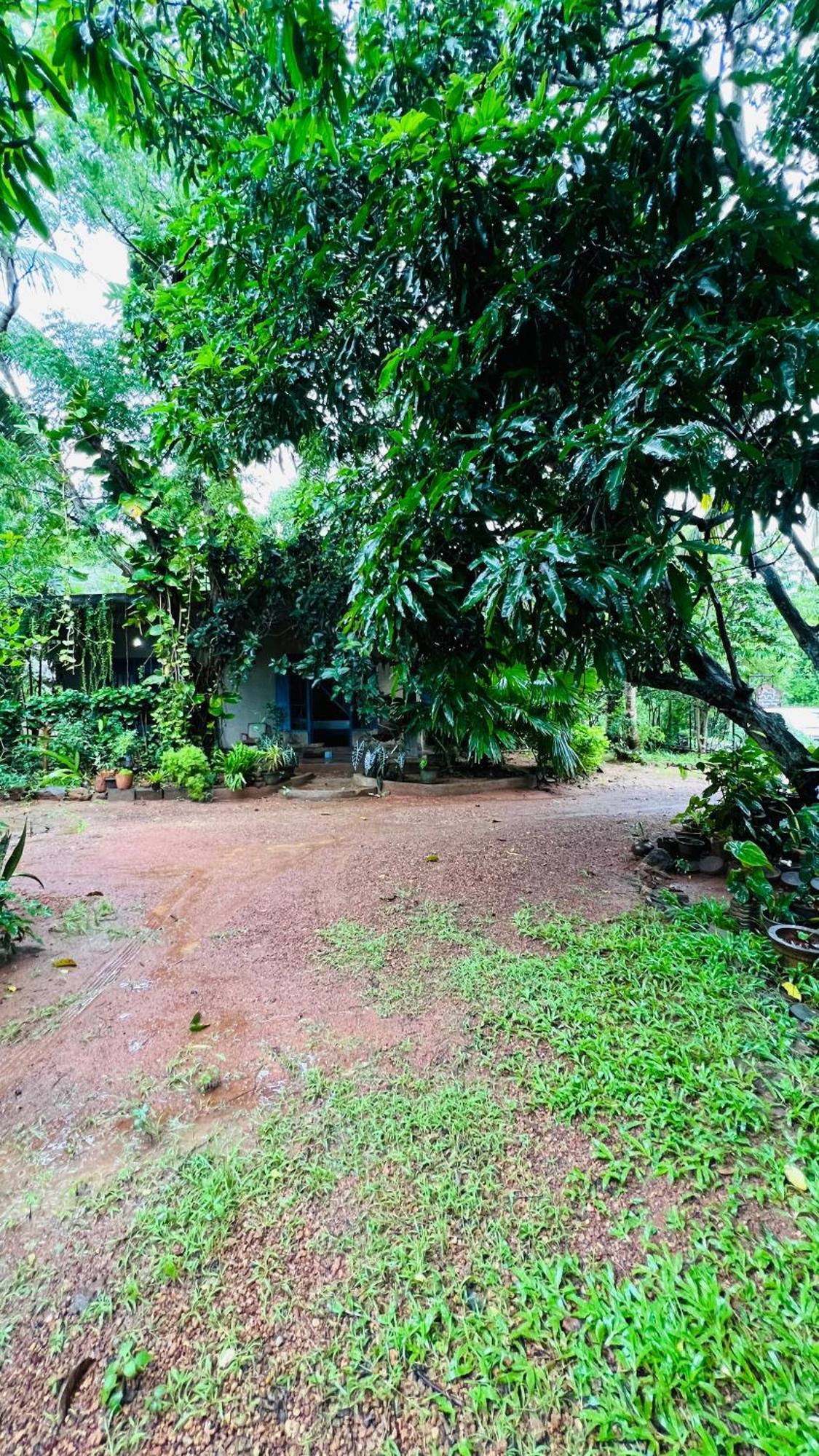 Kataragama Homestay Zewnętrze zdjęcie