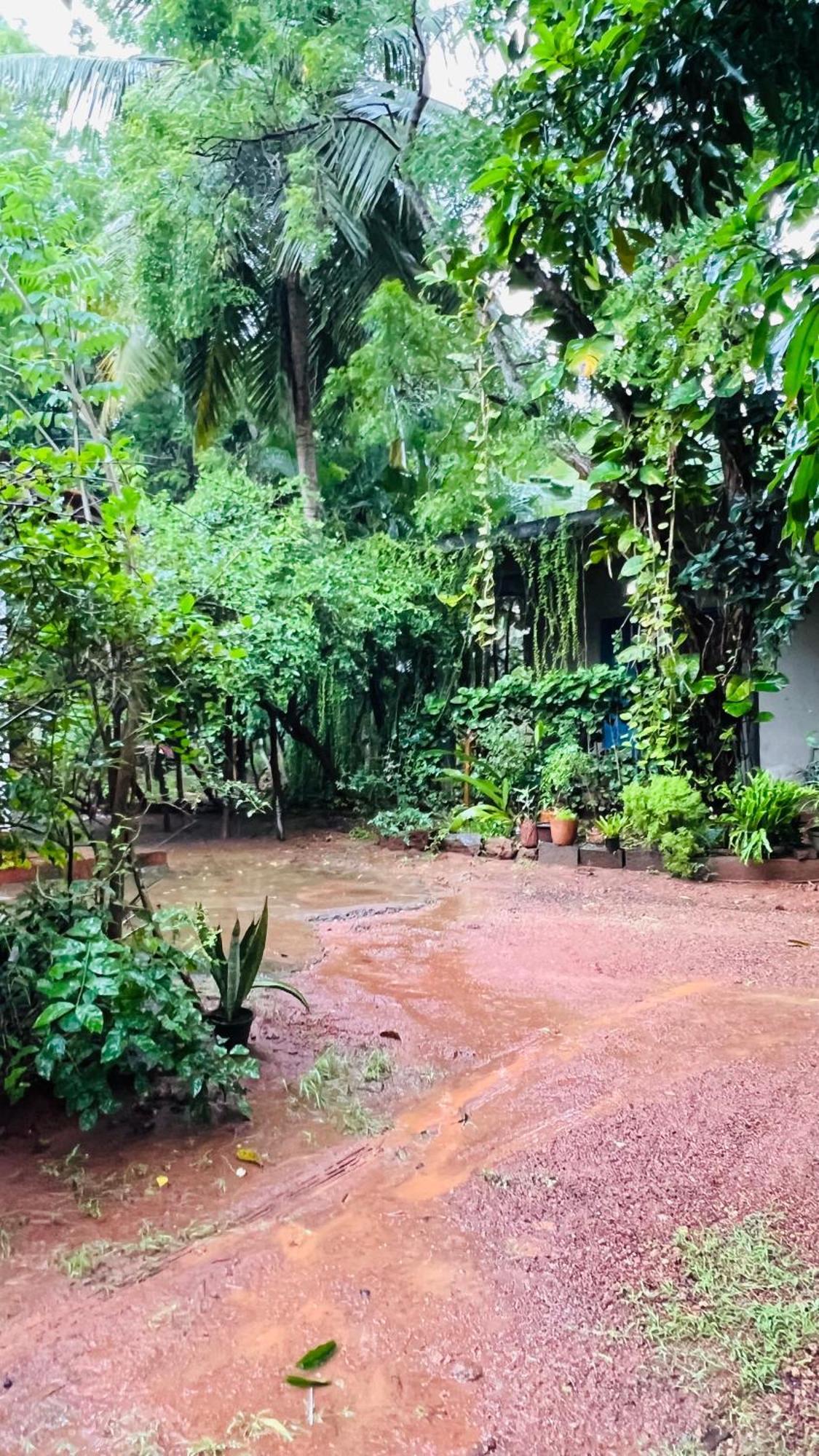 Kataragama Homestay Zewnętrze zdjęcie