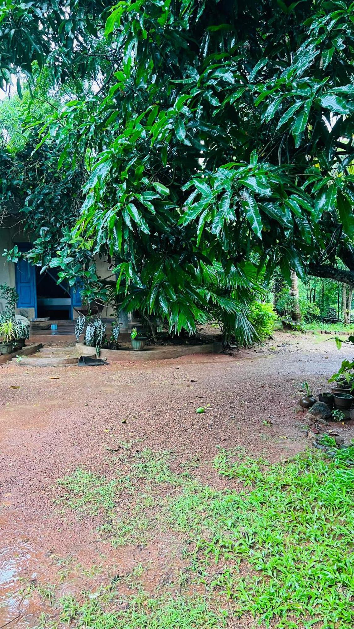 Kataragama Homestay Zewnętrze zdjęcie