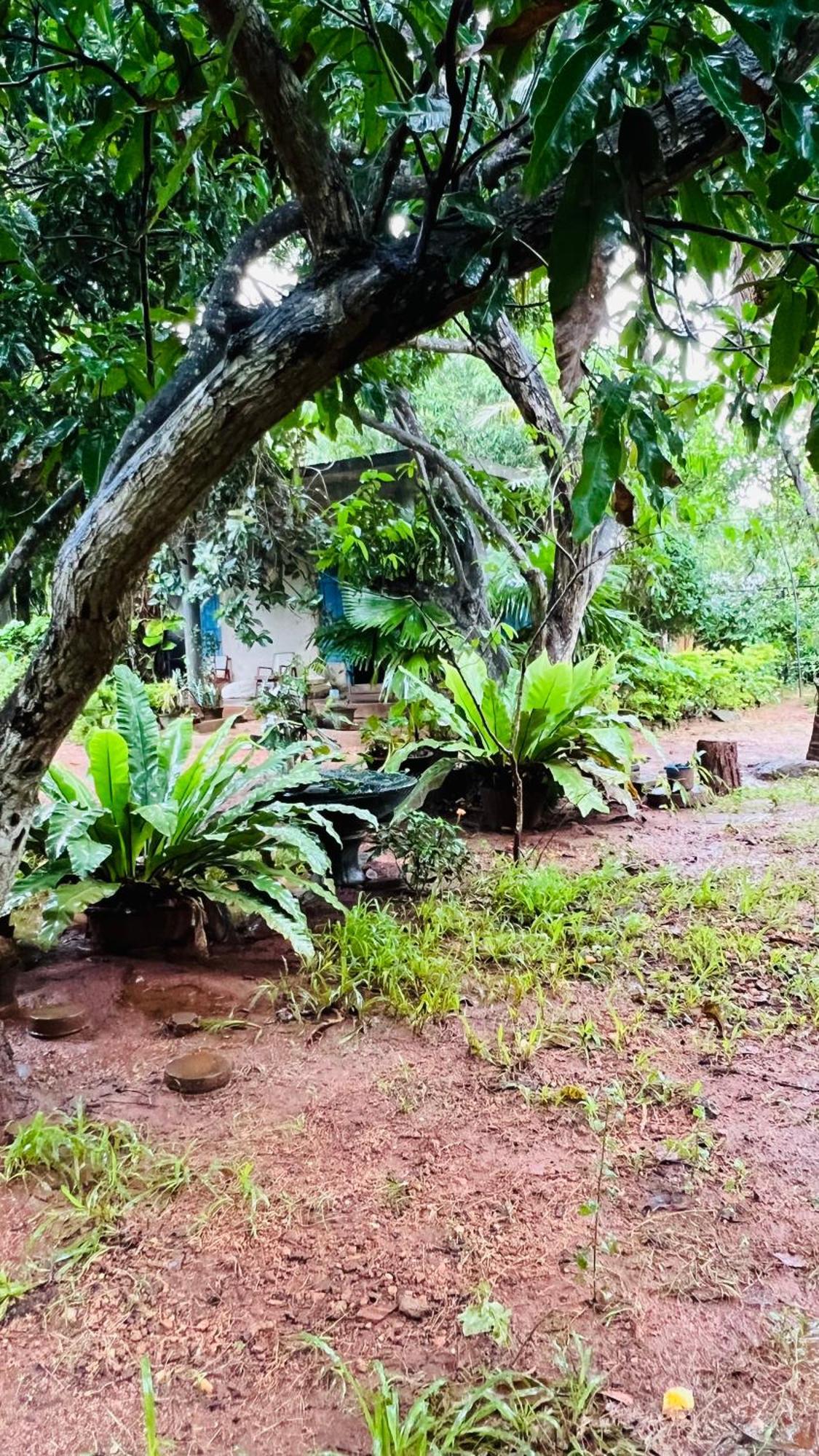 Kataragama Homestay Zewnętrze zdjęcie