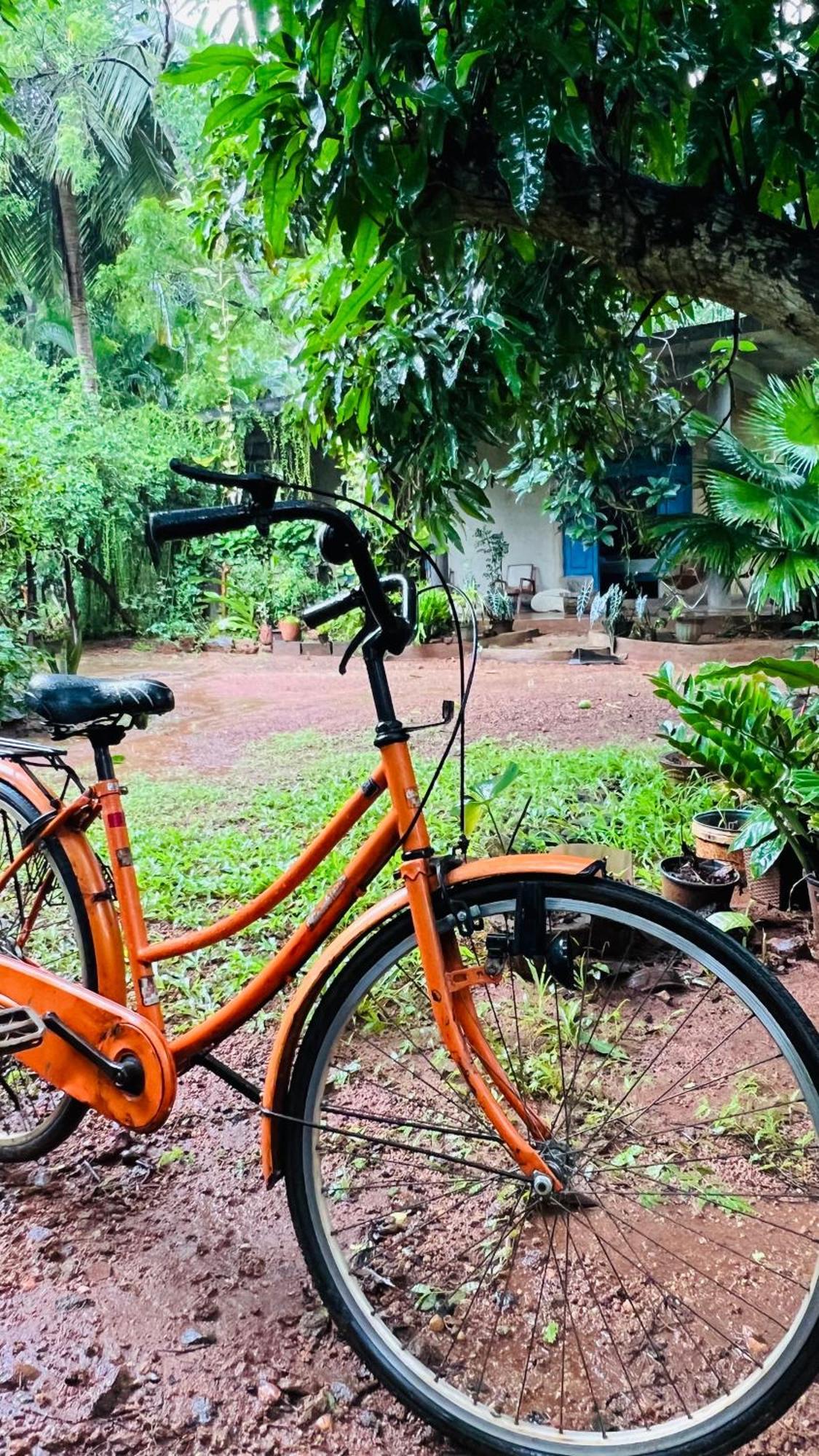 Kataragama Homestay Zewnętrze zdjęcie