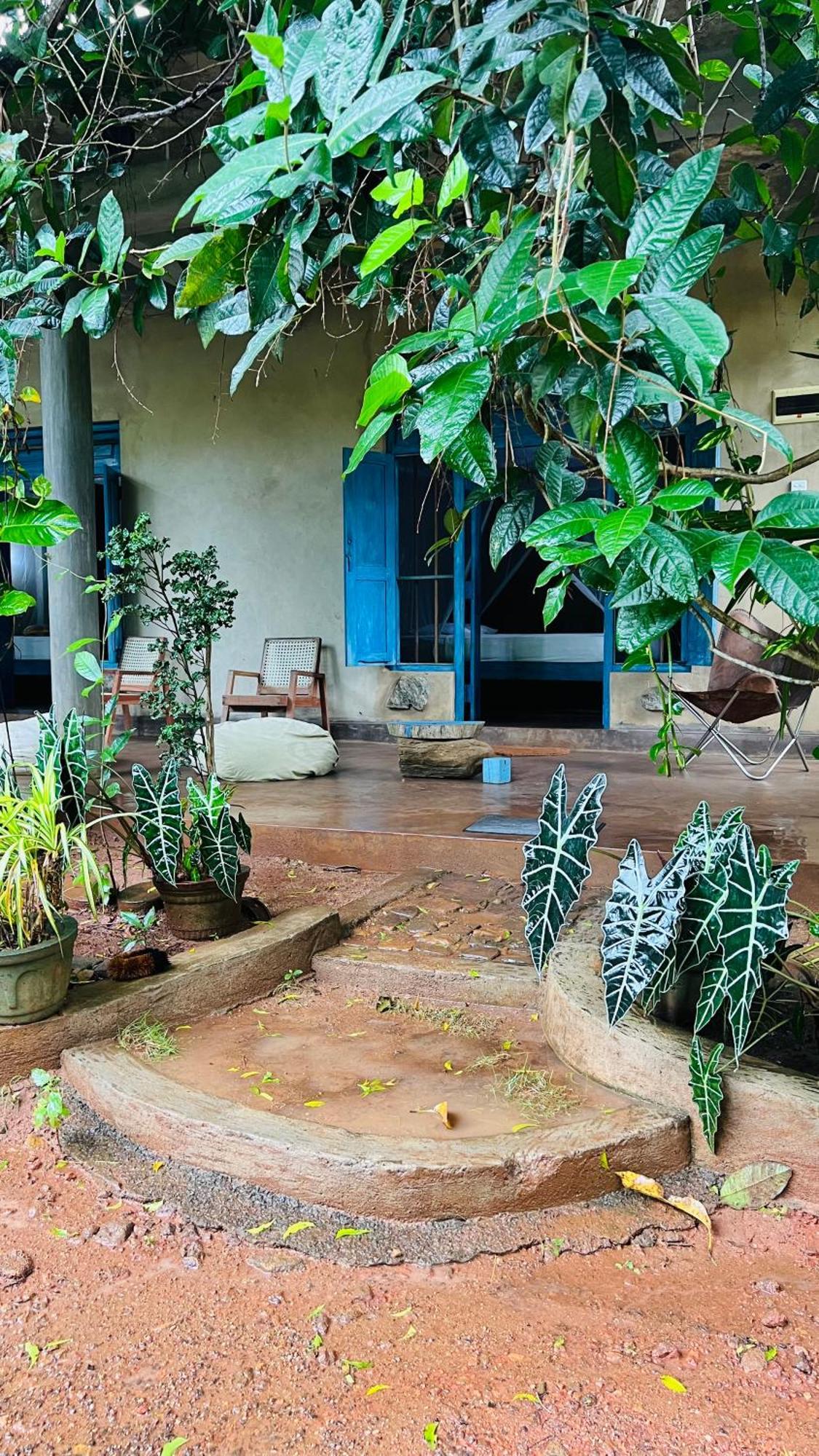 Kataragama Homestay Zewnętrze zdjęcie