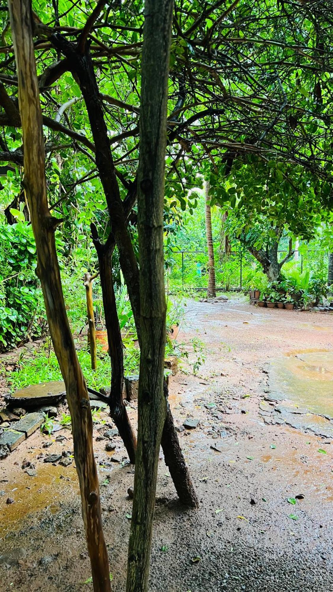 Kataragama Homestay Zewnętrze zdjęcie